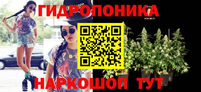 прущие крисы Шахты