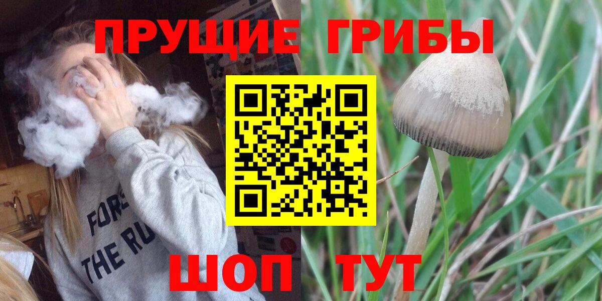Борисоглебск  Галлюциногенные грибы Psilocybe  Вход с VPN 